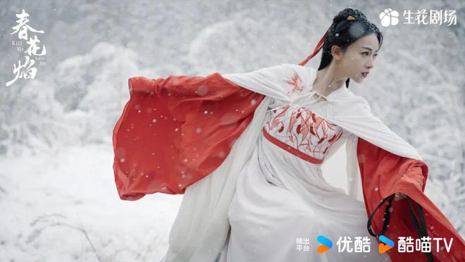 九游体育：2024女性剧集赛道“连播连爆”优酷赢在“超前半步”(图1)