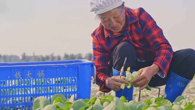 一口气开24家新店钱大妈为何始终“热闹”？(图4)