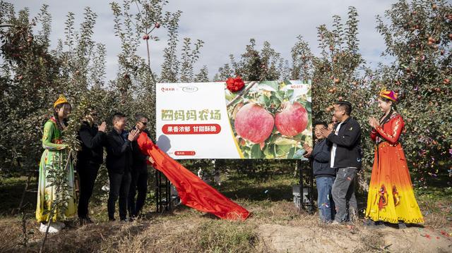 一口气开24家新店钱大妈为何始终“热闹”？(图3)