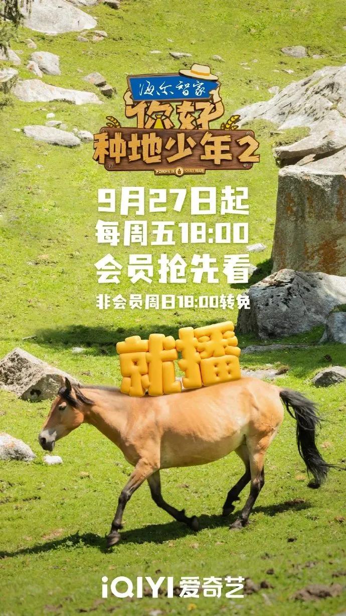 最新！一批新节目官宣(图11)