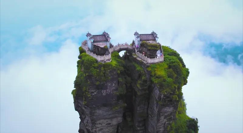 最新！一批新节目官宣(图14)