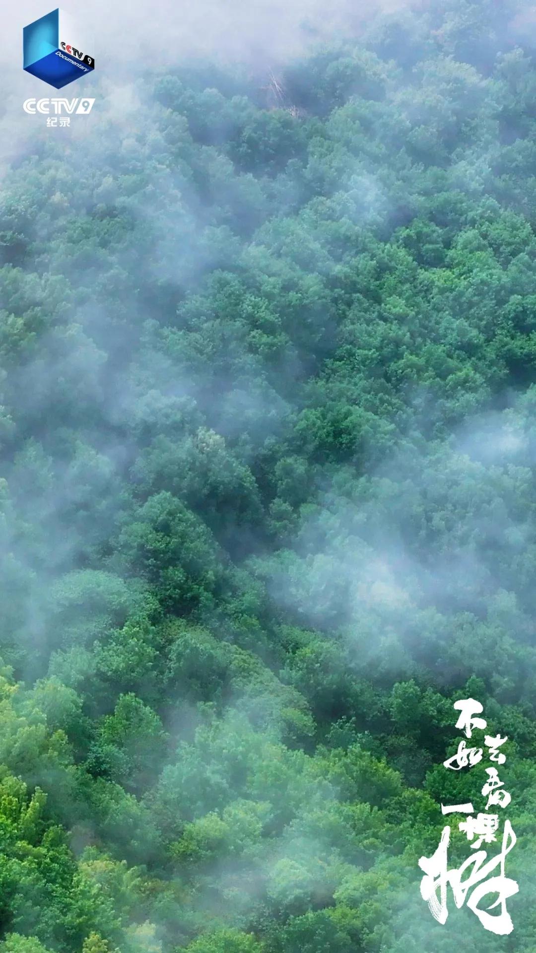 最新！一批新节目官宣(图15)