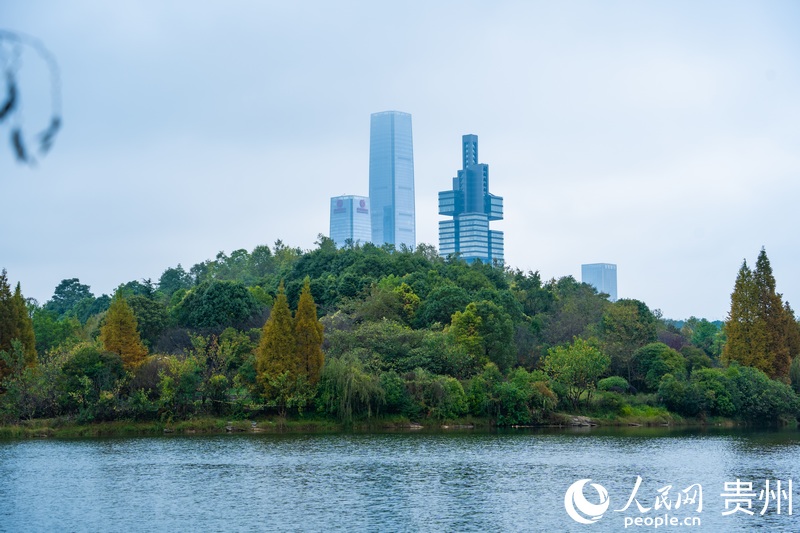 贵阳市观山湖区：绿意满城 兴荣满域(图2)