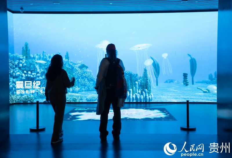 贵阳市观山湖区：绿意满城 兴荣满域(图7)