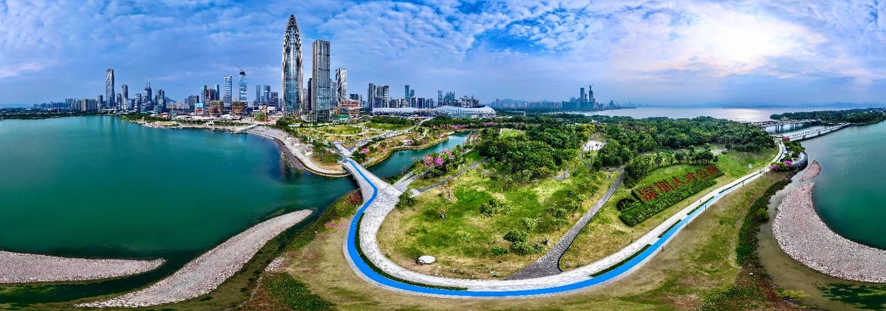 九游体育：2024东风汽车回升向好 2025锚定新赛道跃迁向新