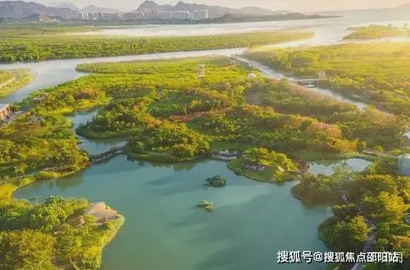 2024『承翰湾尚国际』售楼中心承翰湾尚国际官方网站官方欢迎您(图6)