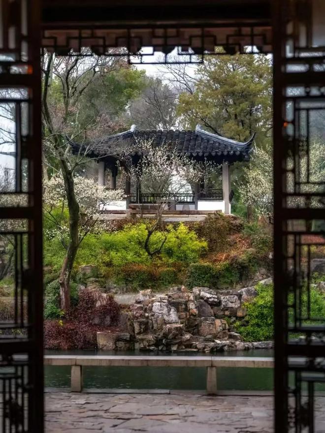 九游app：体荟四季｜应季去旅行月月有花样！2025玩转长三角计划(图2)