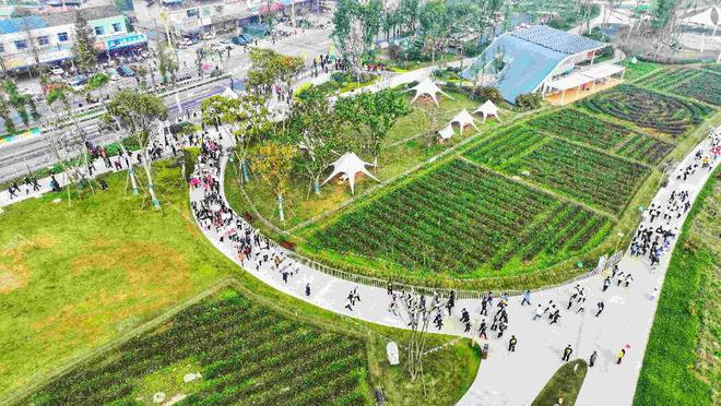 九游app：畅想暖冬·2025消费新观察 成都自主IP赛事孵化大未来(图4)