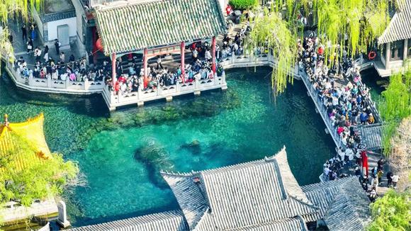 九游体育：点亮城市IP让“一年四季·泉在济南”落地入心_泉城新闻_大众网(图2)