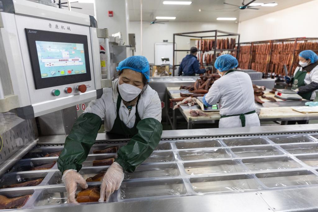 财经聚焦·地方两会经济热词｜县域经济2025年各地瞄准哪些发展新赛道？