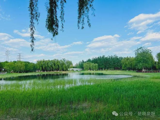 「官网」晓月和风(北京)售楼中心电话-晓月和风楼盘最新价格(图7)