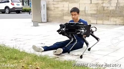 九游体育：王兴兴：斗狗(图8)