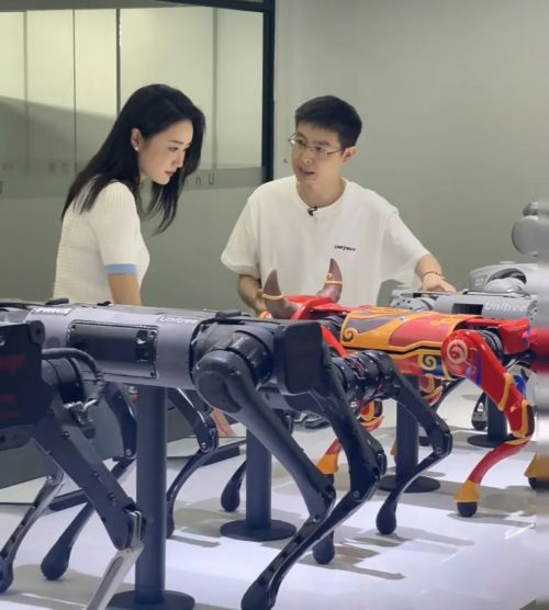 九游体育：王兴兴：斗狗(图16)
