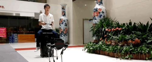 九游体育：王兴兴：斗狗(图17)