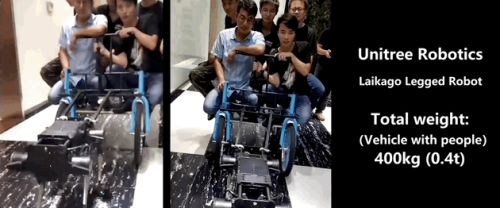 九游体育：王兴兴：斗狗(图18)