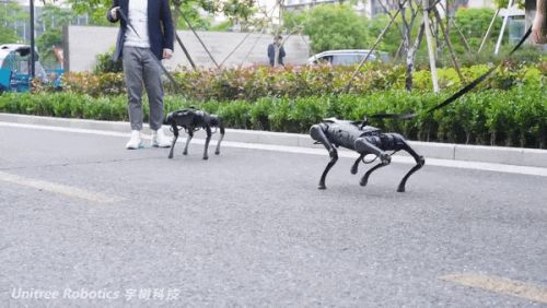 九游体育：王兴兴：斗狗(图20)