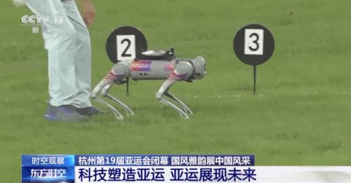 九游体育：王兴兴：斗狗(图21)