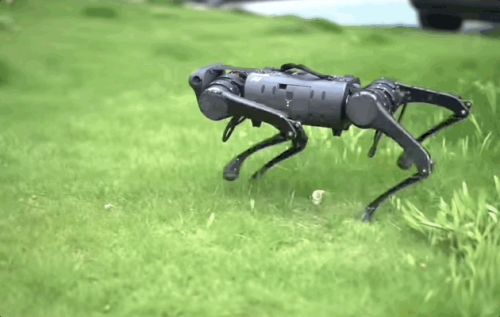 九游体育：王兴兴：斗狗(图26)