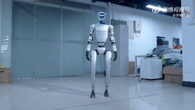 九游体育：王兴兴：斗狗(图33)