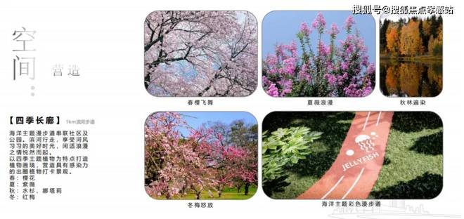 九游官网入口：国贸虹桥璟上@售楼处官网-国贸虹桥璟上楼盘评测-上海房天下(图17)