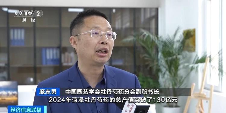 非遗新玩法！菏泽牡丹IP孵化记：上百款文创单品件件惊艳(图7)