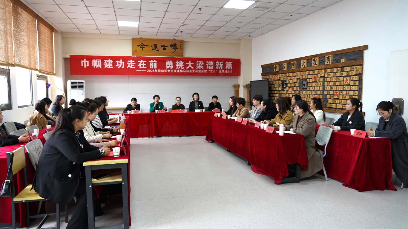 九游app：陕西横山区女企业家协会：聚巾帼之力启发展新篇