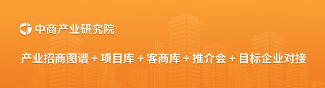 2025年中国IP玩具行业市场前景预测研究报告(图16)