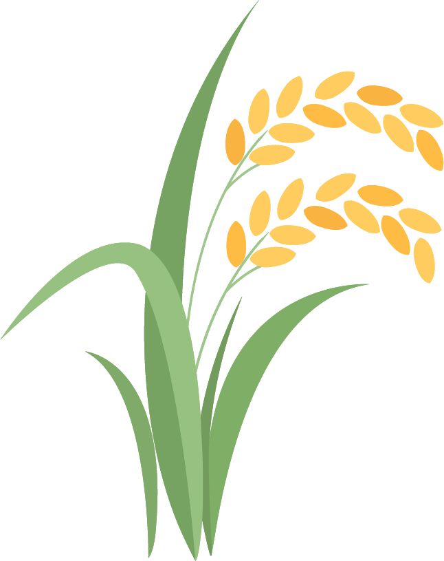 九游官网入口：中招期间最新住宿安排！2024郑州部分高中发布中招食宿服务公告！(图33)