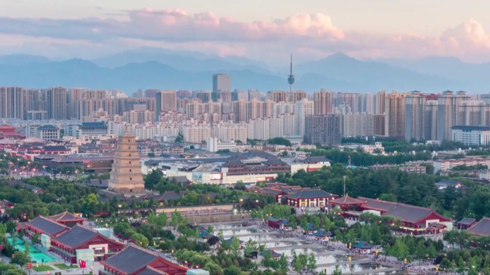 新华视点｜活力新经济：跨境贸易与消费新赛道(图6)