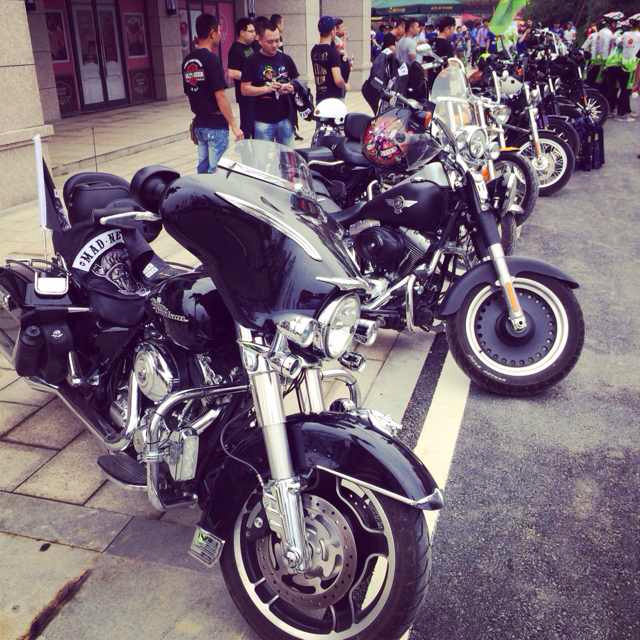 基层党建-七一网