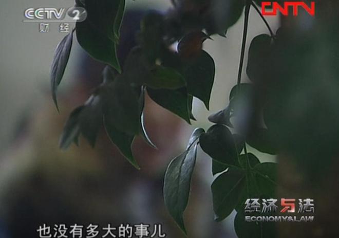 九游官网入口：贵阳黑老大晏德海覆灭记：疯狂敛财几百万凭一己之力让家族落网(图14)