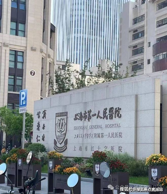 豪宅热搜NO1@佘山东紫园售楼处佘山东紫园官方发布：静谧独栋！(图8)