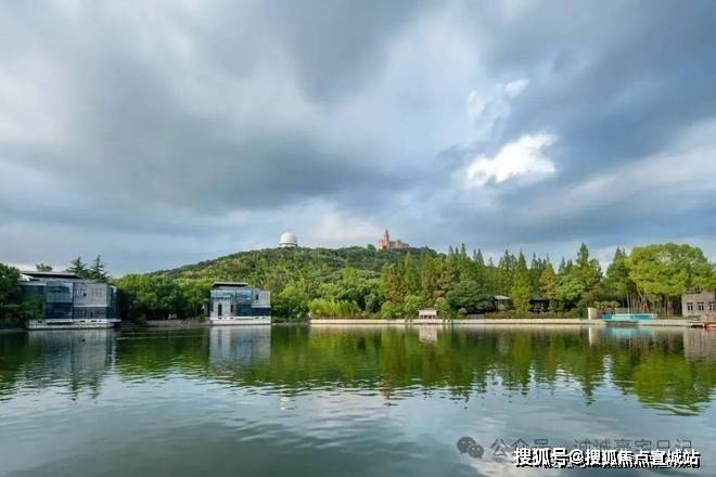 豪宅热搜NO1@佘山东紫园售楼处佘山东紫园官方发布：静谧独栋！(图6)