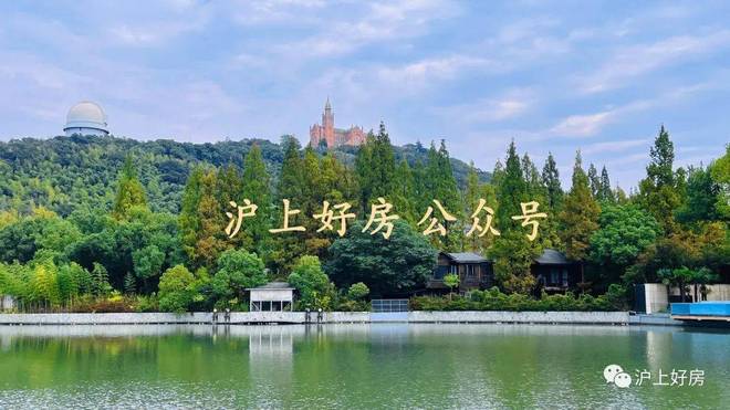 热搜NO1®上海紫园售楼处 上海紫园官方发布：购房热潮