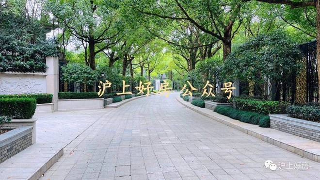 热搜NO1®上海紫园售楼处 上海紫园官方发布：购房热潮(图10)