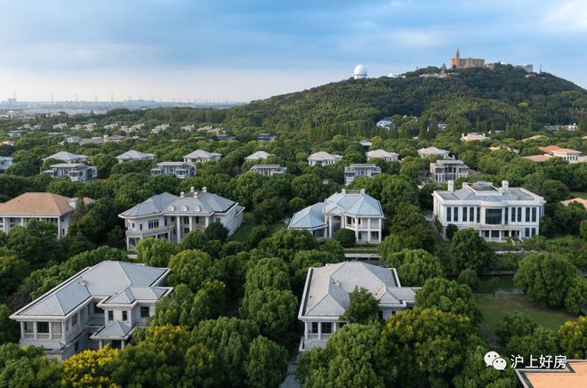 热搜NO1®上海紫园售楼处 上海紫园官方发布：购房热潮(图7)