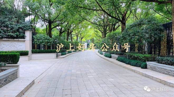 热搜NO1®上海紫园售楼处 上海紫园官方发布：购房热潮(图11)