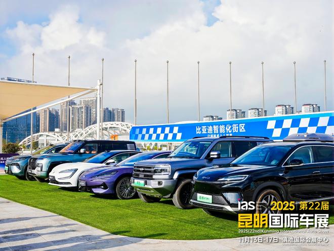 九游体育：汇春城立新程：2025昆明国际车展盛大开幕(图6)
