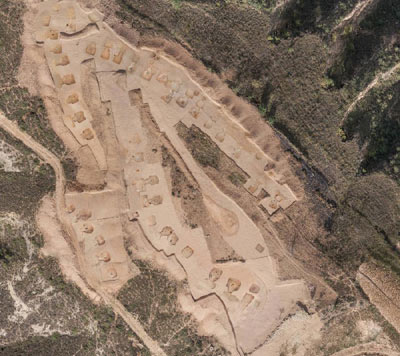 文体艺苑：多家出版社“争抢”余秀华(图2)