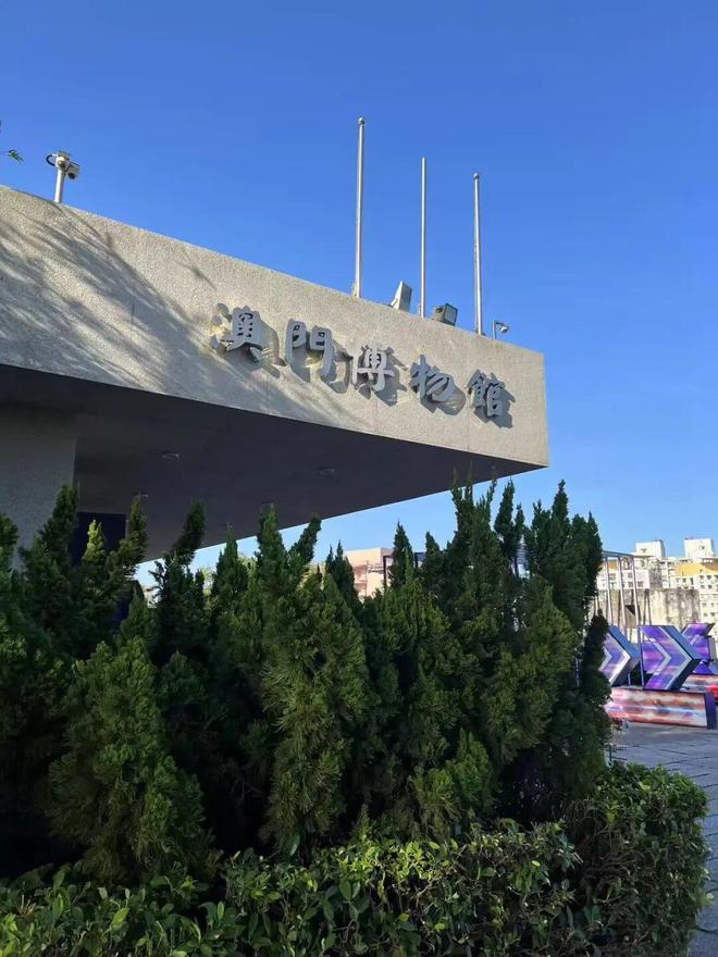 漫步之旅走向大湾区(图18)