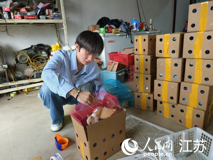 江苏新沂：“小萌宠”跑出县域经济新赛道(图1)