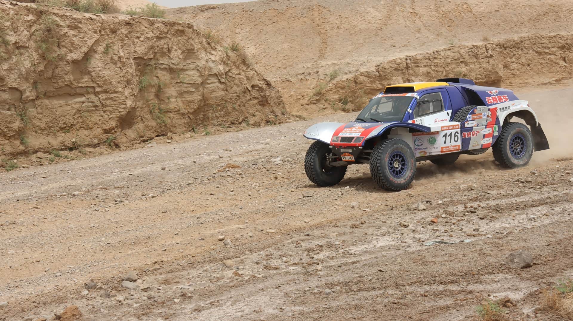 九游官网入口：熊出没之探险日记S01E09mp4