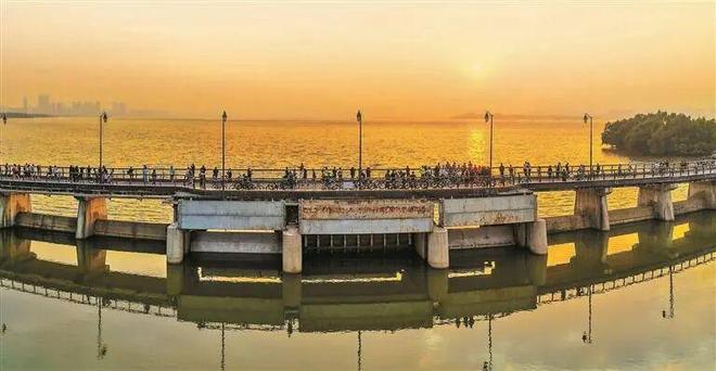 26种方式！深圳人这样打开2026(图4)