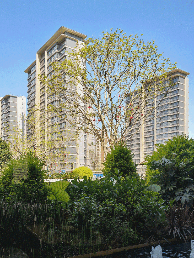 九游app：2026年中环桃源里(售楼处) 首页 - 中环桃源里销售中心 - 环境户型价格地址楼盘详情配套电话交房时间配套电话交房时间(图9)