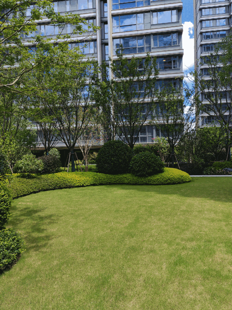 九游app：2026年中环桃源里(售楼处) 首页 - 中环桃源里销售中心 - 环境户型价格地址楼盘详情配套电话交房时间配套电话交房时间(图10)