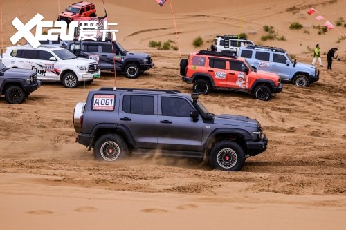 越野市场每卖出2辆就有1辆是坦克品牌交出高含金量年终答卷(图6)