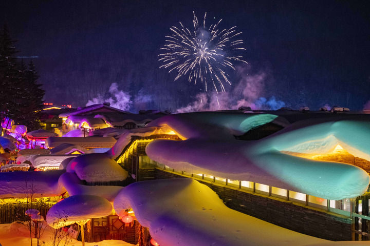 “冰天雪地也是金山银山”！黑龙江精彩答卷(图14)