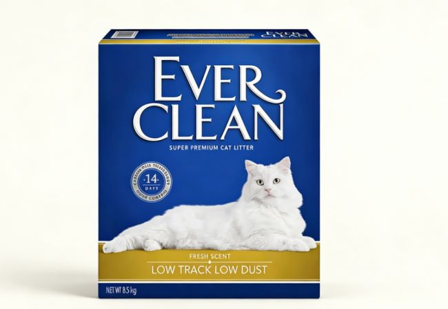 2026年新手养猫选砂指南：猫砂可靠性、除臭性与结团性测评(图1)