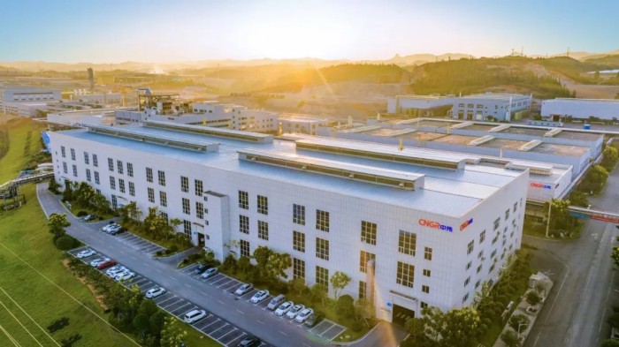 九游体育：达闼科技陨落一周年：具身独角兽的消亡史(图1)