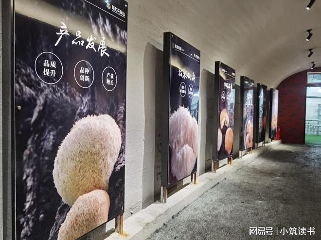 花果山直播孵化基地正式运营｜以菌为媒以IP为魂以就业为暖(图1)